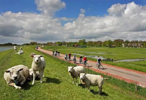 Camperplaatsen ‌ Pekelharinghaven - Medemblik