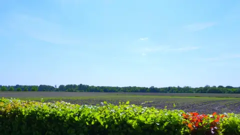 Oudlandse Hoeve