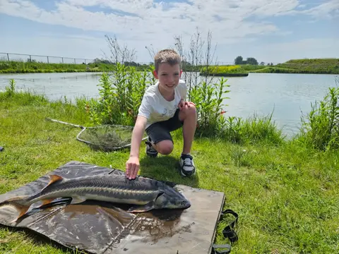 Burgerfarm