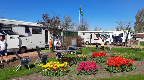 De Veense Bukker