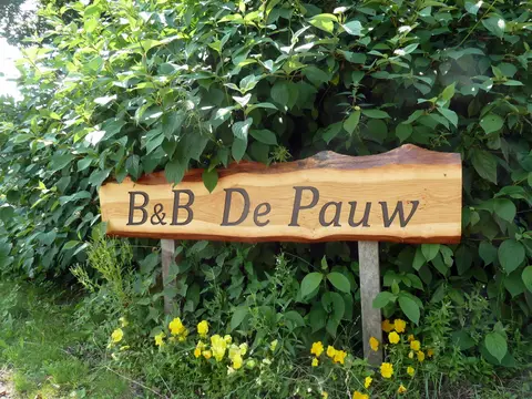 De Pauw