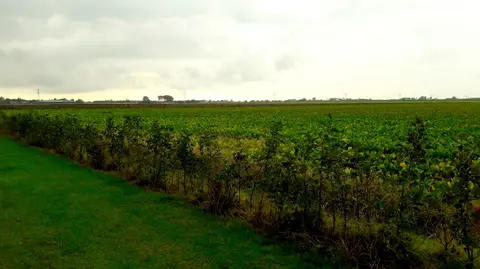 De Pauw