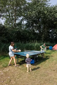 De Texelaar