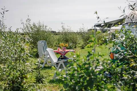 De Texelaar