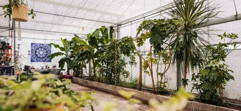 Tuin van Epicurus