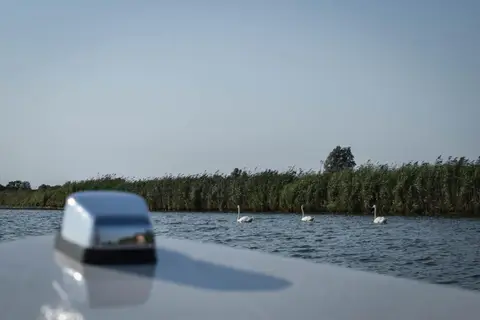 Roggebroek