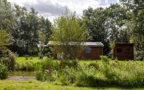 Berkenwoude