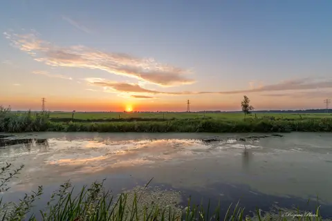 Berkenwoude