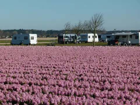 Op Hoop van Zegen