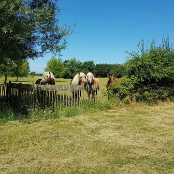 Heerlykheit van de Polder