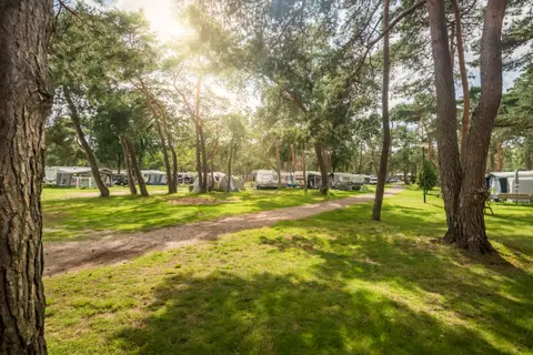 Camping Bos Park Bilthoven