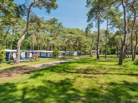 Camping Bos Park Bilthoven