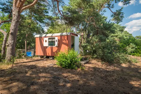 Camping Bos Park Bilthoven