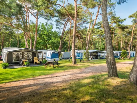 Camping Bos Park Bilthoven