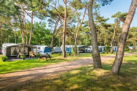 Camping Bos Park Bilthoven