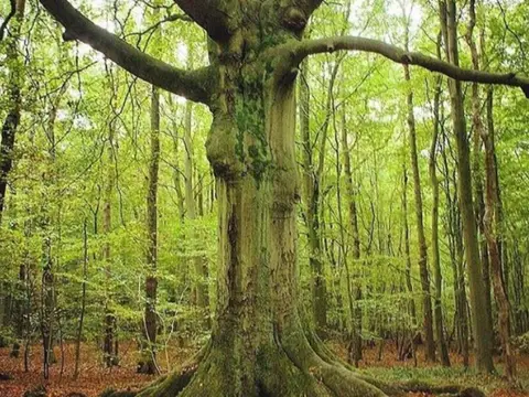 Natuurkampeerterrein Klein Hemelrijk