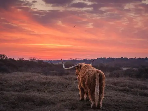 Natuurkampeerterrein Klein Hemelrijk