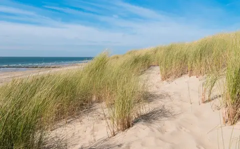 Jagtveld Camperplaats Hoek van Holland