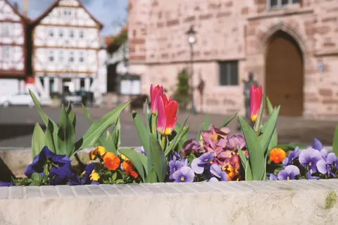Campingplatz Rotenburg an der Fulda