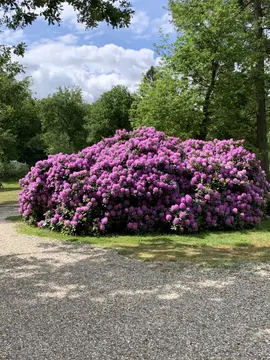 Camping De Heihoek