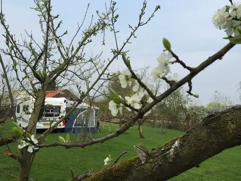 Camping Het Achterhuis