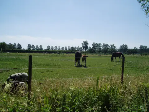 Camping Het Achterhuis