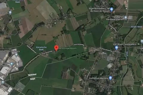 De Klompenboom