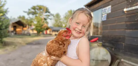 Camping Breehees