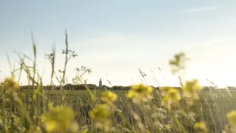 de Witte Baai