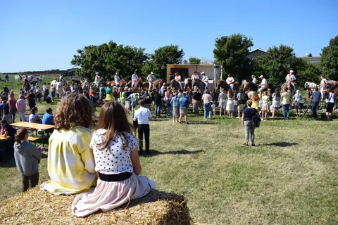 Minicamping De Koehoorn