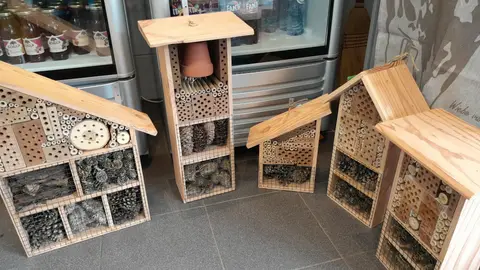 Minicamping De Koehoorn