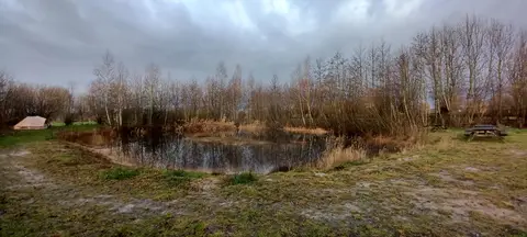 Natuurkampeerterrein Vogelenzang