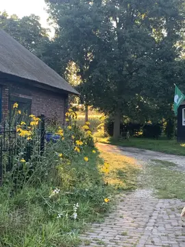 Natuurkampeerterrein Vogelenzang