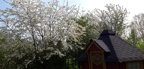 Natuurkampeerterrein Vogelenzang