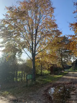 Natuurkampeerterrein Vogelenzang