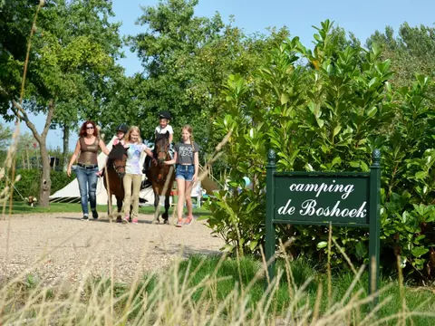 de Boshoek