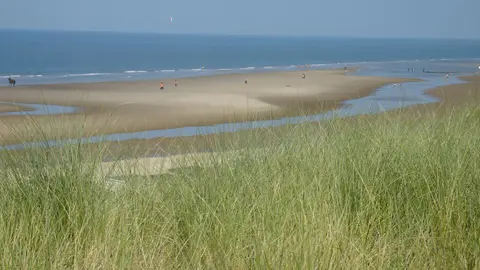 de Boshoek