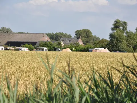 de Boshoek