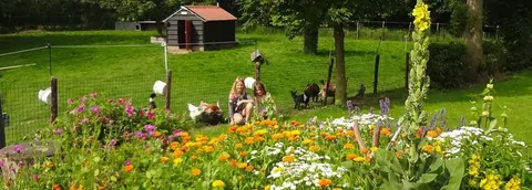 Mini-Camping Rustenpolder