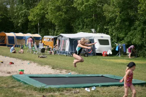 De Steenuil