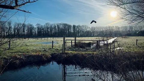 Alphen aan den Rijn - Oudshoorn