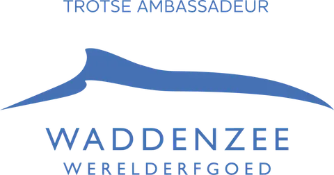 Helmzicht