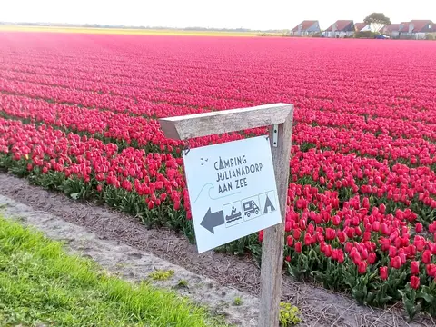 Camping Julianadorp Aan Zee