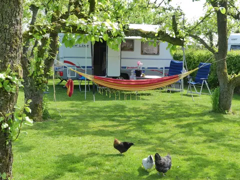 Camping De Pit