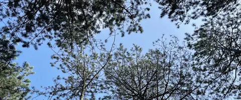 Camping Cnossen