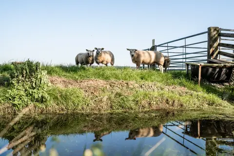 Hoeve Bouwlust