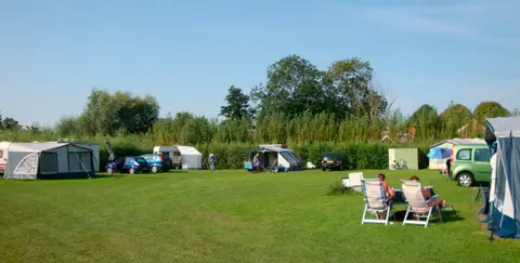 Weideveld