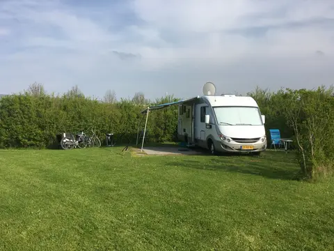 Weideveld