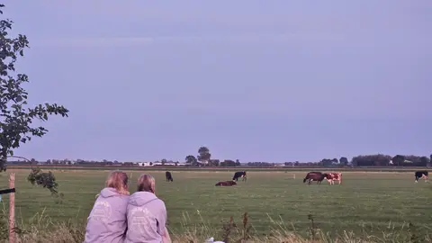 Zilt bij Zee