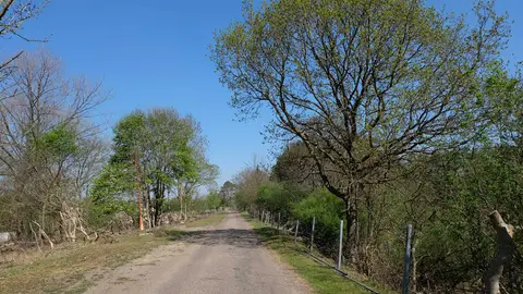 Natuurcamping Zeeweg 71